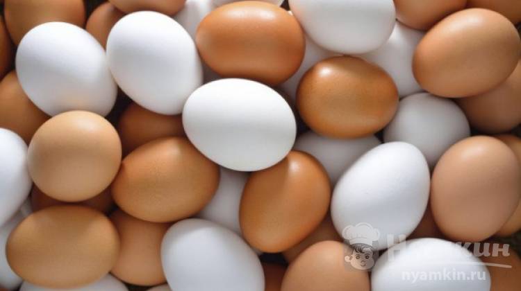 Качество яиц: как правильно проверить