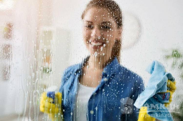 Средства для стёкол и зеркал: используем для чистки и полировки плиты, холодильника или стиральной машины
