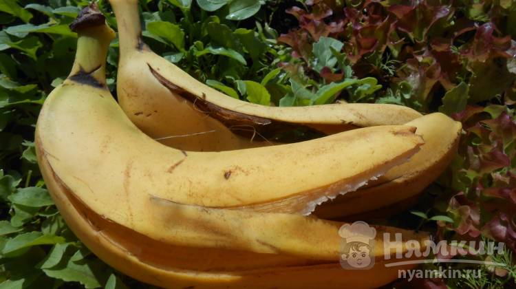 Кожура бананов как удобрение для огорода: банановый настой для комнатных цветов и рассады
