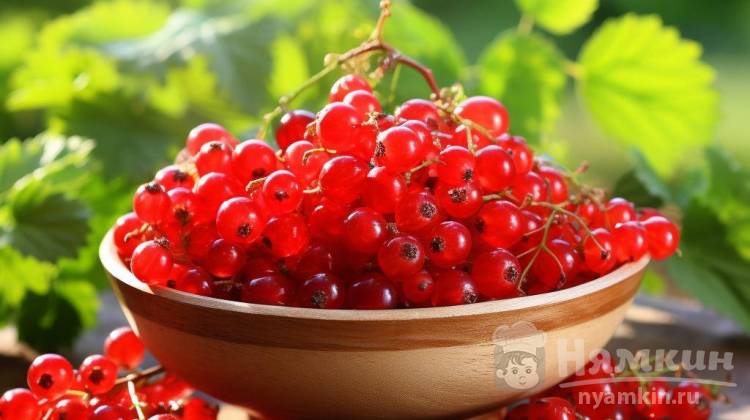 Положительные свойства красной смородины: разбираемся в пользе ягоды для здоровья