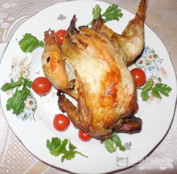 Рецепты из фазана на праздник