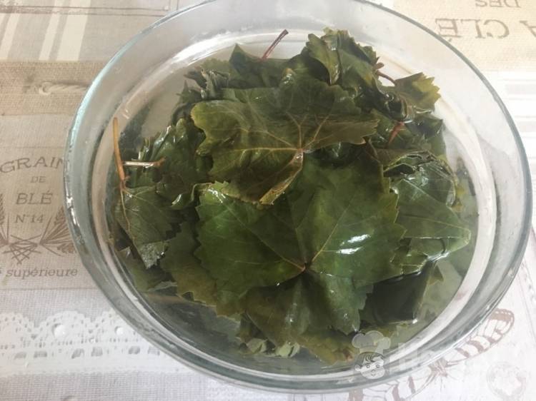 Суп из виноградных листьев рецепт с фото пошагово