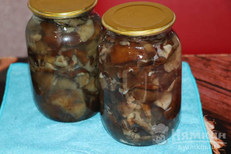 Маринованные опята на зиму  - фото шаг 8