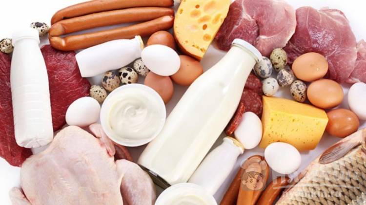 В каких продуктах много белка - питание для здорового образа жизни