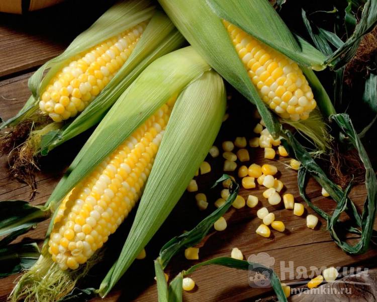 Кукуруза: применение и свойства