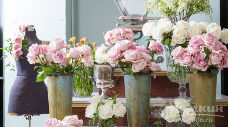 Как сохранить свежесть цветов. 5 секретов флористов