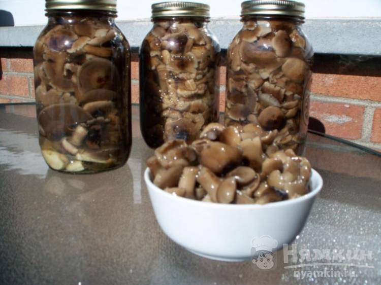 Домашние заготовки из грибов