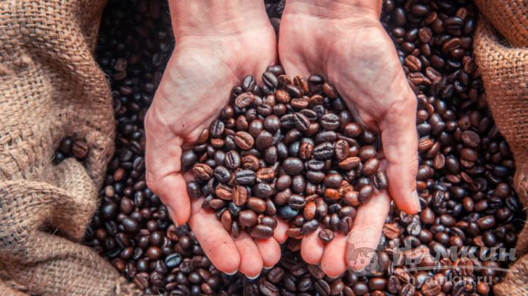 Как выбрать кофе в зернах