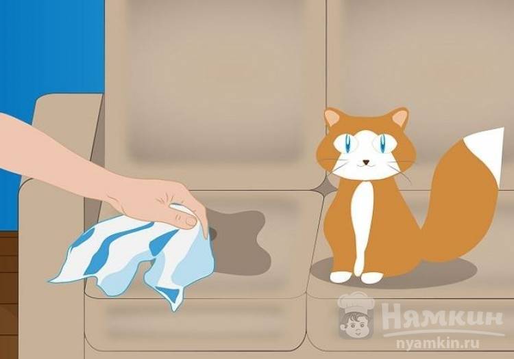 Как убрать запах кошачьей мочи