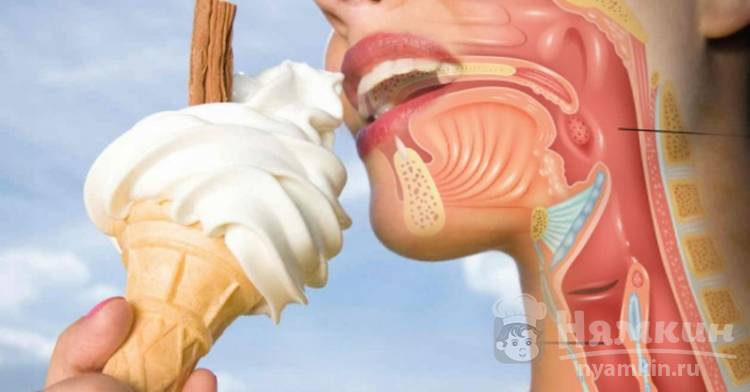 Можно ли есть мороженое при ангине: мифы и правда
