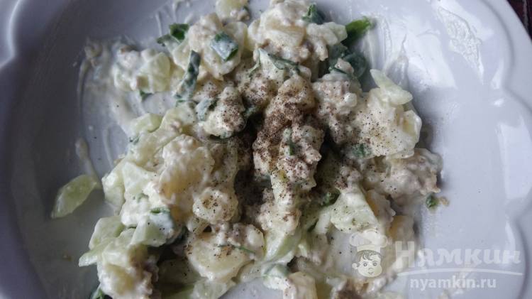 Огуречные лодочки с начинкой из фарша и картофеля - фото шаг 4