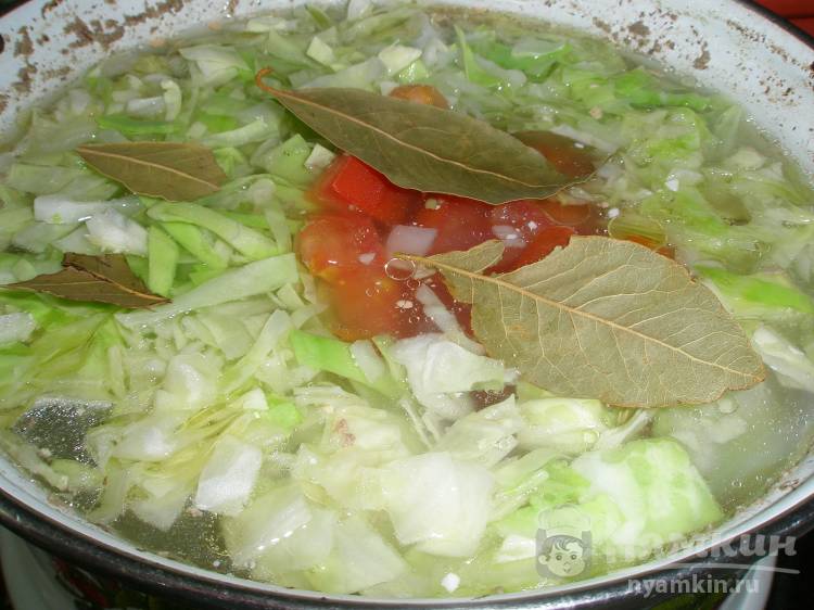 Щи из свежей капусты с помидором на курице - фото шаг 7