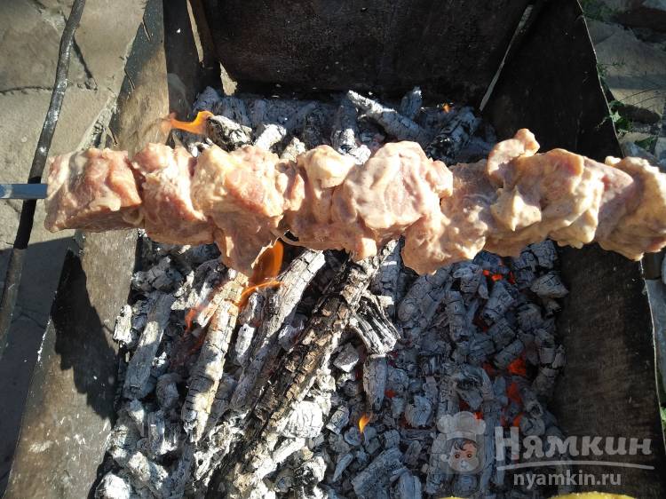 Шашлык из свинины на кефире - фото шаг 6