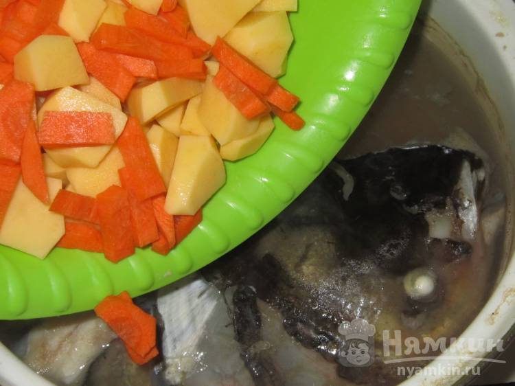 Уха из толстолобика – рыбный суп с необычайным вкусом и ароматом