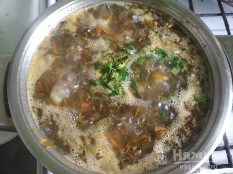 Вкусный суп из белой консервированной фасоли со щавелем - фото шаг 10