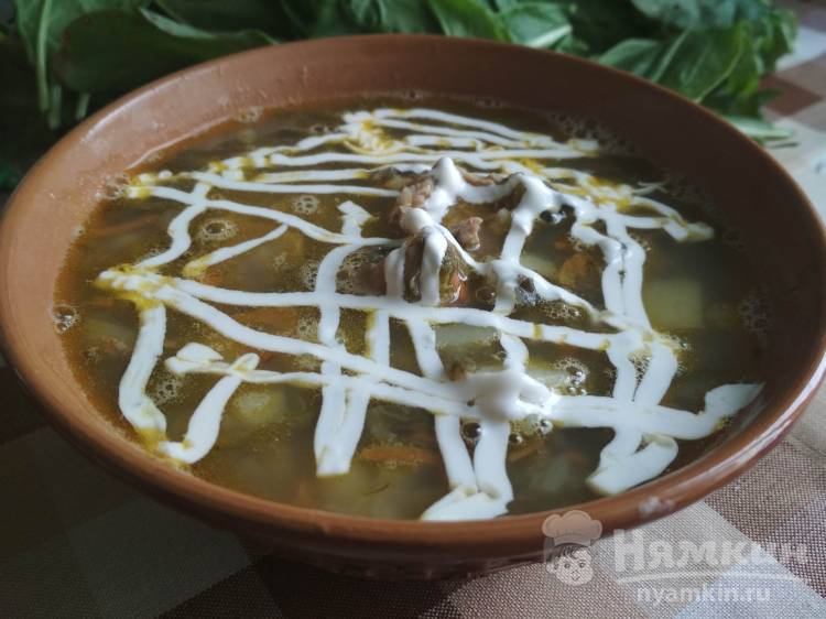 Вкусный суп из белой консервированной фасоли со щавелем - фото шаг 11