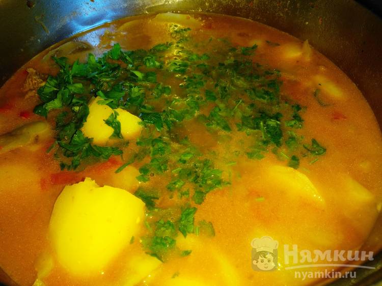 Густой суп с говядиной, помидорами и баклажанами - фото шаг 5
