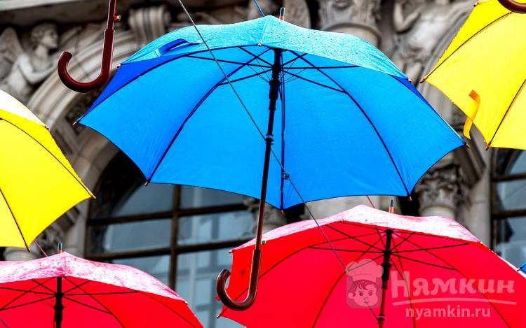 Как выбрать зонт: особенности выбора