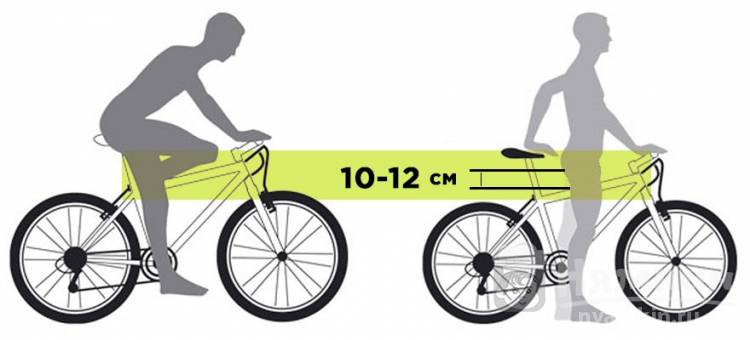 Как выбрать велосипед по росту и весу 