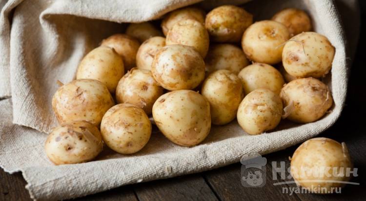 Молодая картошка в мундире полезные свойства