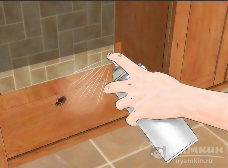 Как избавиться от термитов дома самостоятельно