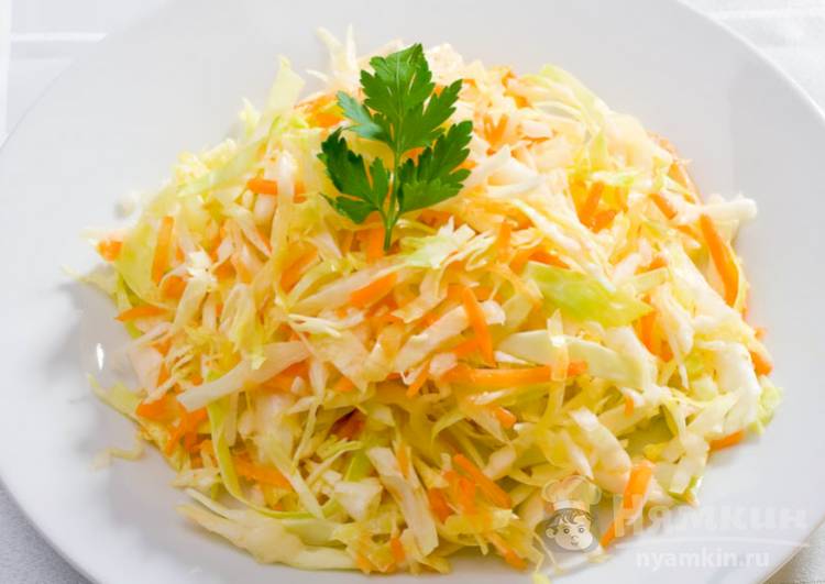 11 вкусных салатов из свежей капусты 