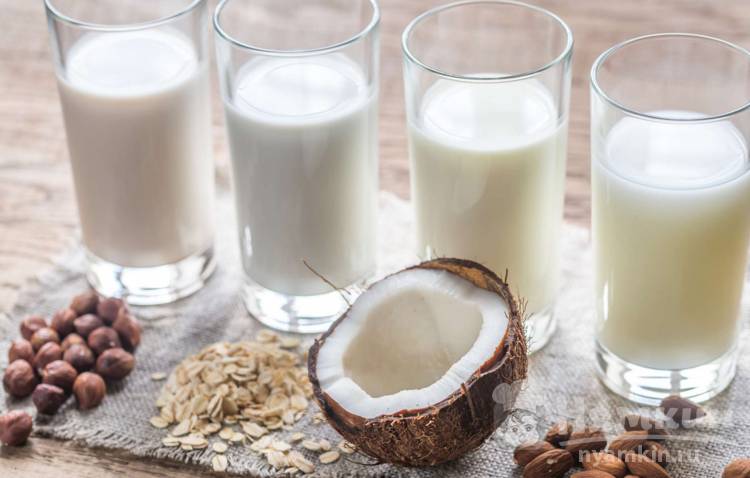 Растительное молоко - польза и вред для здоровья