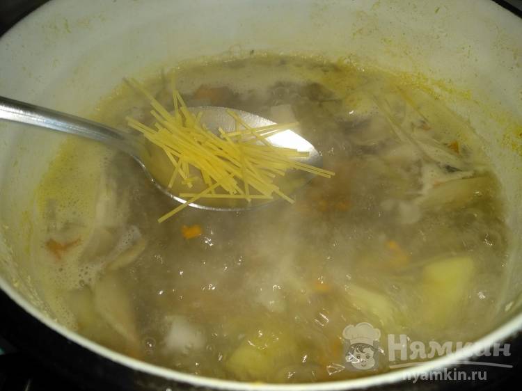 Вкусный куриный суп с вермишелью и грибами
