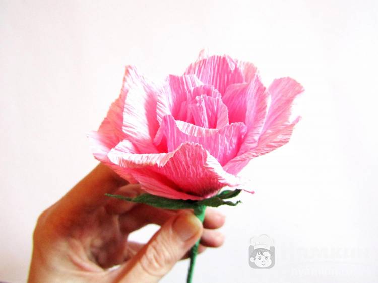 Как сделать розу из гофрированной бумаги пошагово