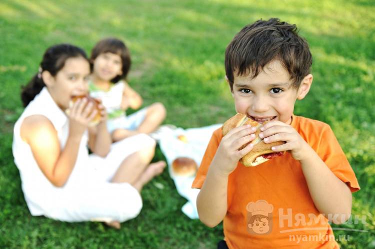 Идем на пикник с детьми — что взять из еды