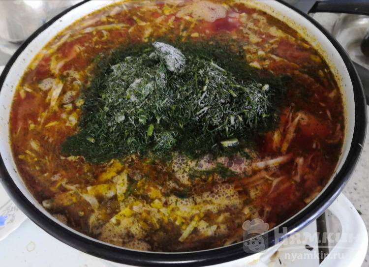 Борщ со свежей капустой на курино-говяжьем бульоне - фото шаг 9