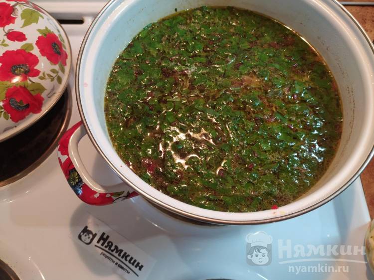 Ботвинья из свекольной ботвы с курицей - фото шаг 9