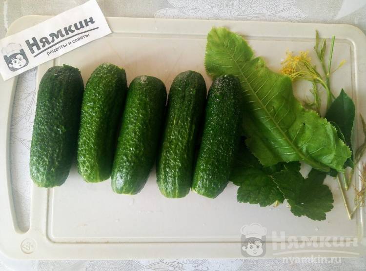 Огурцы соленые с чесноком и луком на зиму - фото шаг 1
