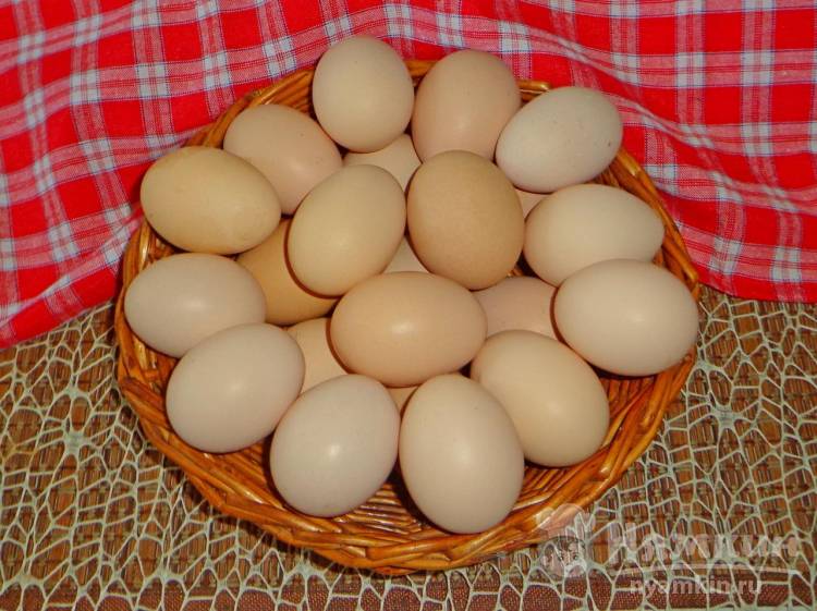 Які вітаміни давати курям щоб несли яйця?
