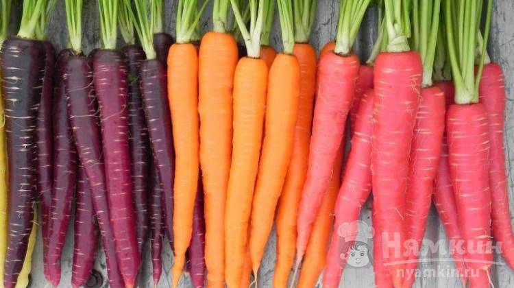 Что можно приготовить из моркови: запечённая, по-корейски, в рулете, драники или запеканка