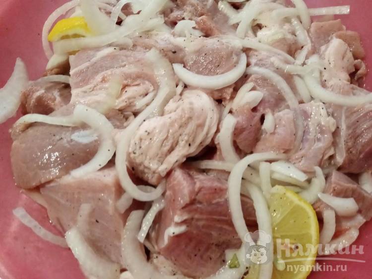 Шашлык из свинины на минералке с лимоном - пошаговый рецепт с фото на sauna-chelyabinsk.ru