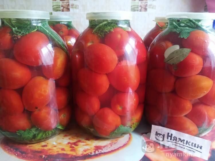 Бочковые помидоры холодным способом по рецепту моей бабушки - 8 Ложек