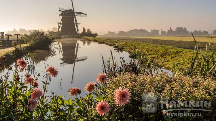 Что стоит попробовать, если вы оказались в Южной Голландии 