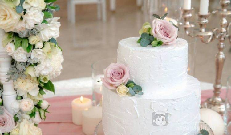 Какие живые цветы можно использовать для декорирования тортов