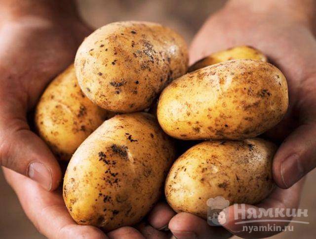 Использование картофеля в быту: 7 полезных лайфхаков 