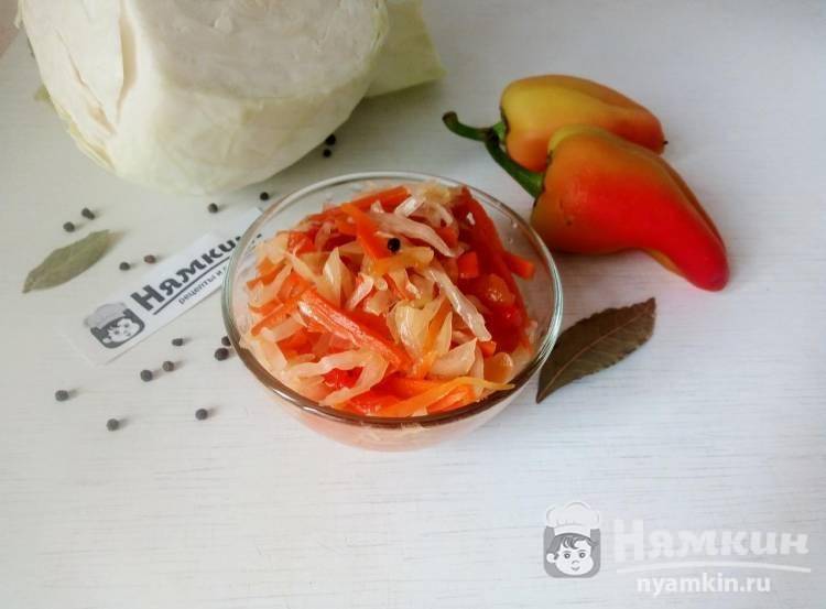 Салат из капусты на зиму: ТОП самые вкусные рецепты с фото