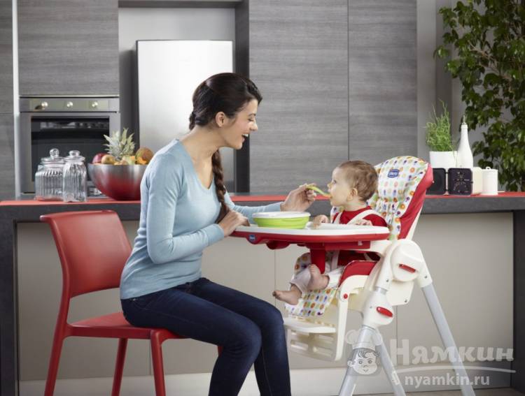 Как выбрать детский стульчик для кормления малыша: виды, плюсы и минусы