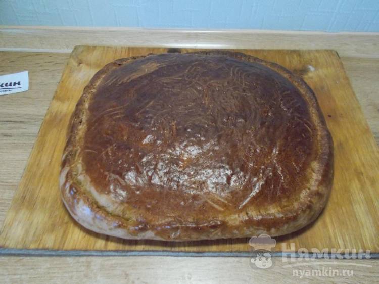 Шоколадный пряник с абрикосовым джемом в духовке - фото шаг 17