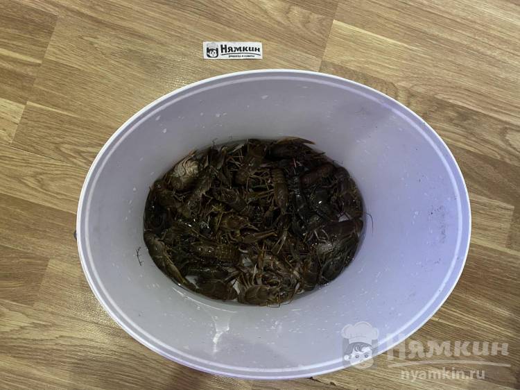 Вареные раки с укропом и лавровым  листом - фото шаг 1