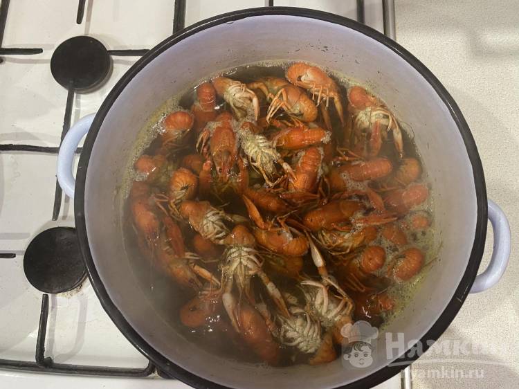 Вареные раки с укропом и лавровым  листом - фото шаг 4