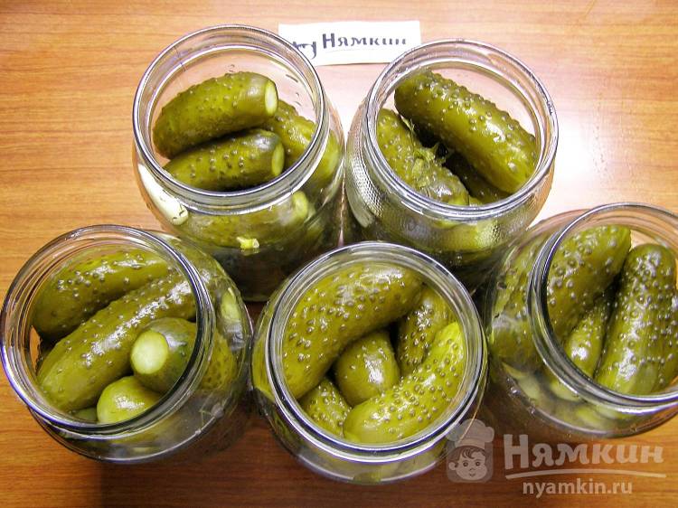 Солёные огурцы холодным способом на зиму без уксуса, кипячения и стерилизации - фото шаг 9