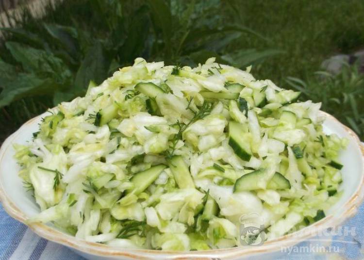Легкий салат из свежей капусты и огурцов 