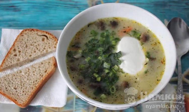 Суп из замороженных опят - рецепт с фото на webmaster-korolev.ru