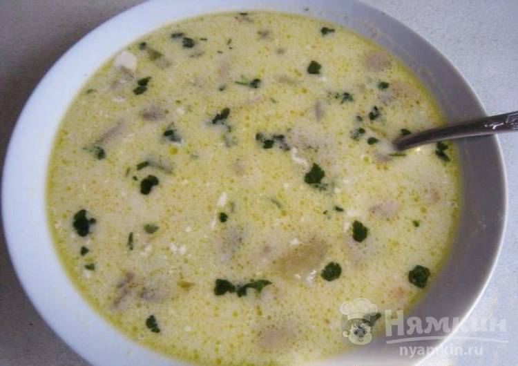 Молочный суп с шампиньонами и сливочным сыром