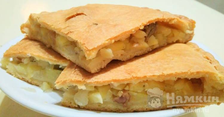Пирог с картофелем и мясом – пошаговый рецепт приготовления с фото